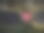 短裤在晾衣绳图片下载