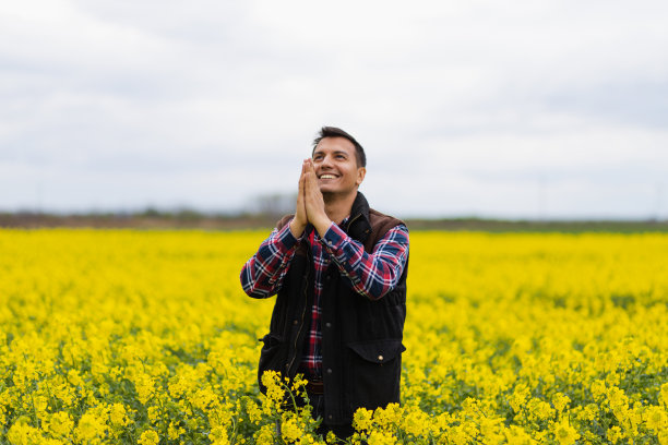 在油菜籽黄色田野里祈祷的中东年轻农民图片下载