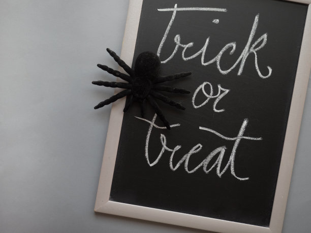 用一只蜘蛛来捉弄和款待背景图片下载