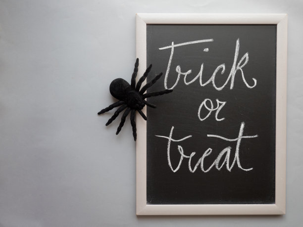 用一只蜘蛛来捉弄和款待背景图片下载