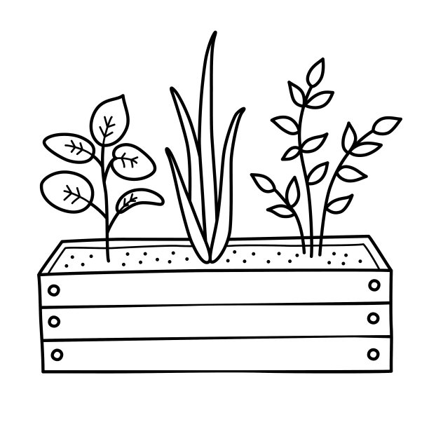 植物在木盒，涂鸦图标的幼苗，庭院和花园装饰，矢量插图的园艺盒与植物图片下载