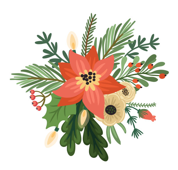 圣诞和新年插花。圣诞树，鲜花，浆果。孤立的插图。图片下载