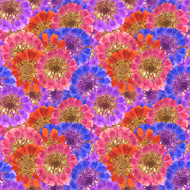 Zinnia。插图，花朵的纹理。连续复制的无缝模式。花卉背景，照片拼贴纺织，棉织物。用于墙纸，封面，印刷品图片下载