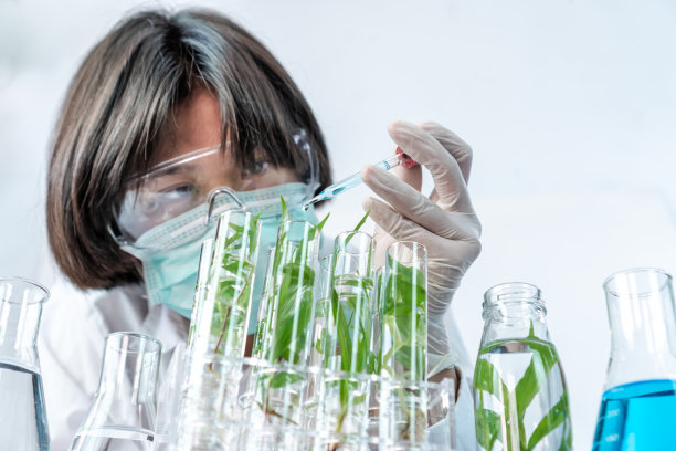 科学家在实验室的试管中研究植物图片下载