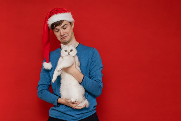 有趣的年轻人戴着圣诞老人的帽子，在红色背景下抱着一只可爱的白色英国猫图片下载