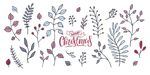 冬季植物与圣诞快乐的文字。冷淡的绿色。矢量插图孤立在白色背景上。花卉套装用于贺卡，纺织品，织物，海报，邀请。冬季浆果和叶子图片下载
