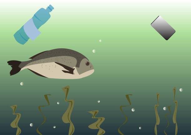 鱼在垃圾中游动图片下载