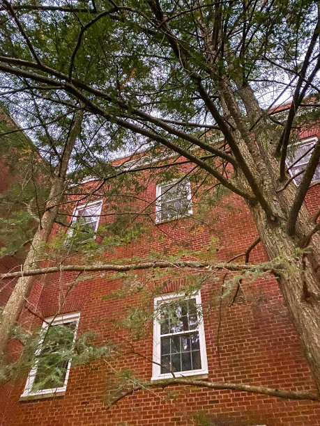 大学生活之美图片下载