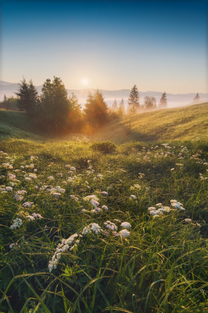 春天的心情图片下载