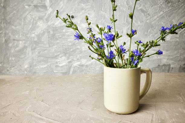 咖啡杯里的菊苣粉和菊苣花图片下载