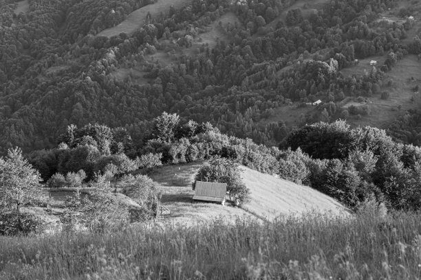 日出时有房子的草地。Apetska山。黑白照片。图片下载