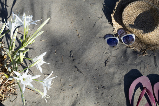 地中海海滩上的睡莲图片下载