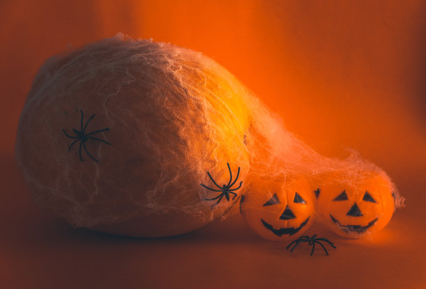 有南瓜和蜘蛛的万圣节静物画。有选择性的重点。副本的空间。图片下载