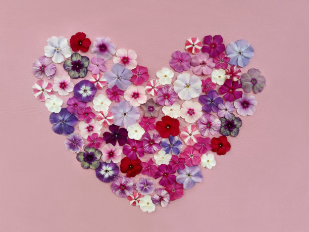 各种夹竹桃花的插花，呈心形。图片下载