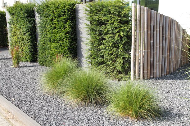 有石头和植物的现代前院图片下载