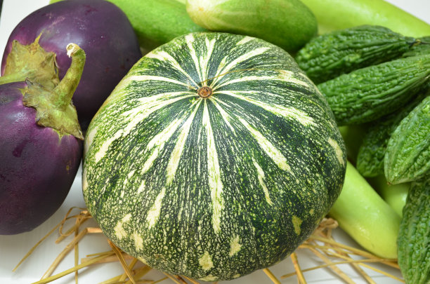 印度绿南瓜，茄子，苦瓜，黄瓜和葫芦配白色的背景和稻草。健康的蔬菜。饮食上，生鲜有营养。图片下载