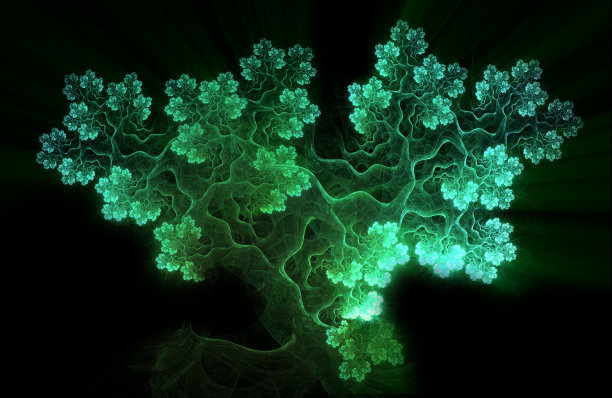 抽象的分形艺术背景，看起来像一棵树图片下载