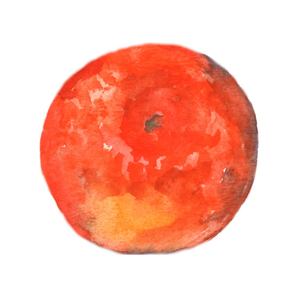 水彩橘子。橘子或小柑橘，整个橘子橘子孤立的橘子图标。图片下载