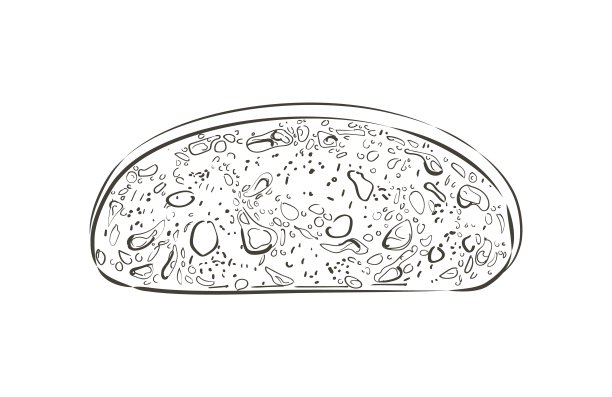 向量切片面包。一片全麦面包。面包店，一块烤面包丁做三明治零食。现实的例子形象。图片下载