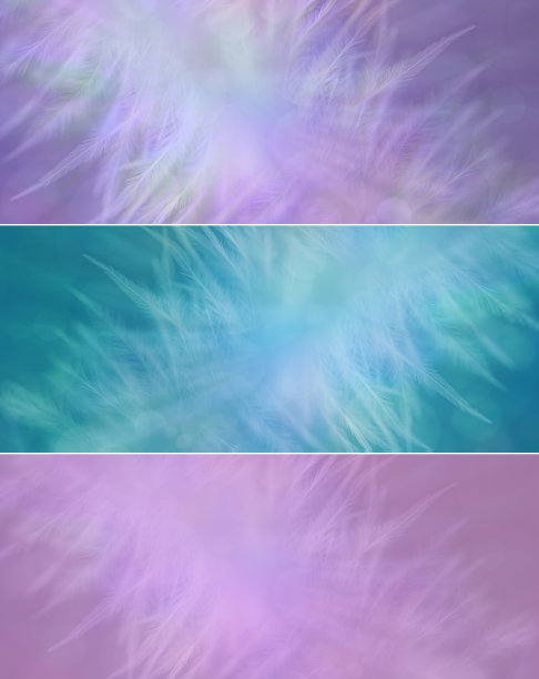 三种不同的蓬松羽毛背景图片下载