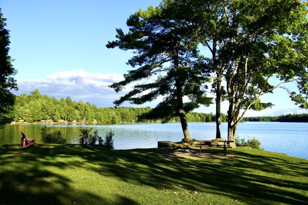 湖边的野餐桌图片下载