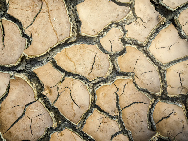顶部视图的开裂地板作为背景或平面设计与干旱和死亡的概念。图片下载