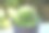 花园里美丽的仙人掌图片下载