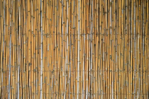 室内设计的木质竹墙背景图片下载