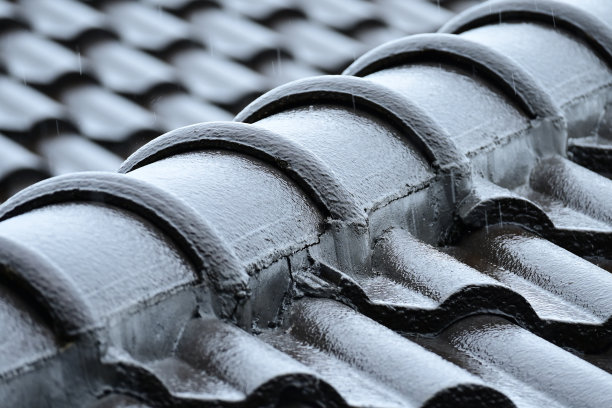 房屋居民、建筑行业的湿屋顶图片下载