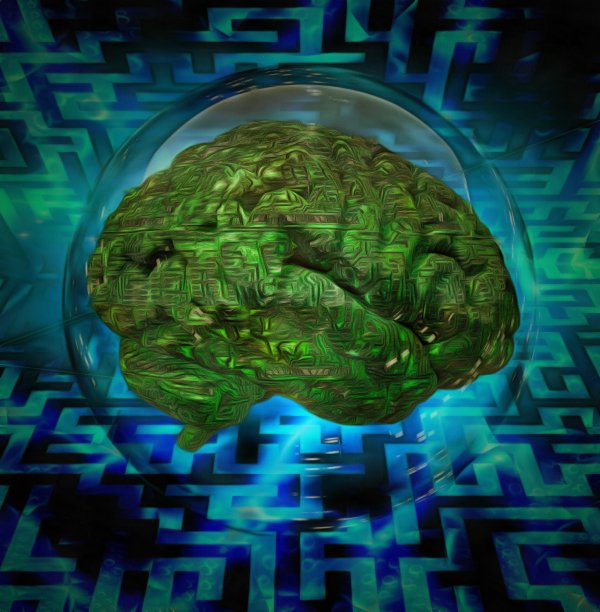 数字大脑概念图片下载