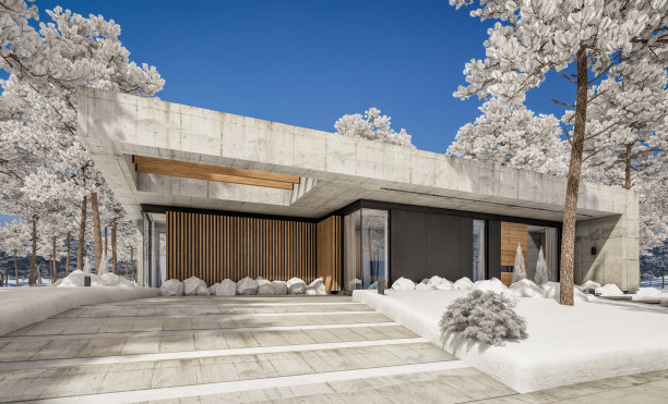 冬季现代风格的新混凝土房屋3d效果图图片下载