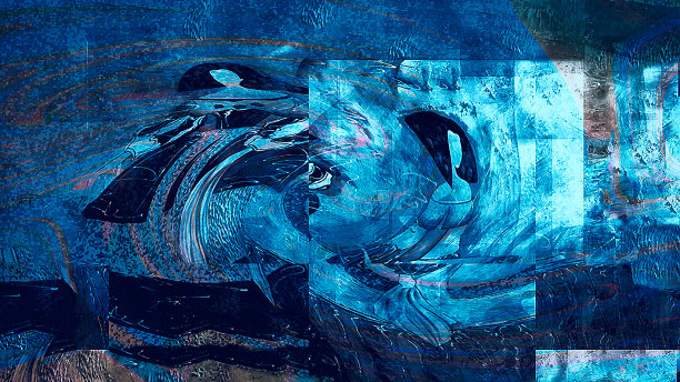 摄影帆布“生命”图片下载