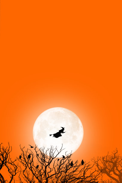 光秃秃的树木和飞翔的女巫映衬着满月和橙色的天空图片下载