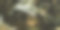 汽车发动机维修。汽车装配。修复的工具。图片下载