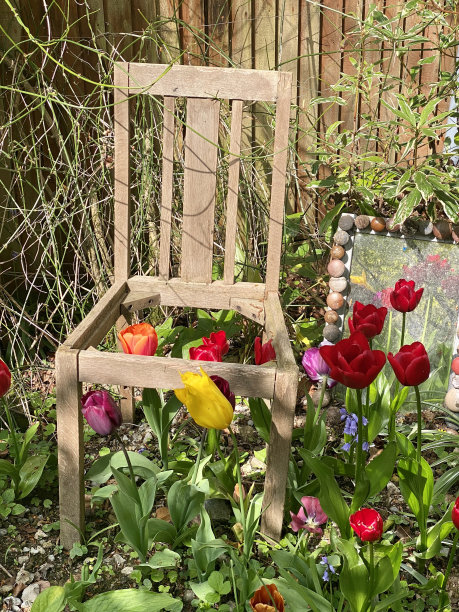 丢弃的椅子和郁金香图片下载