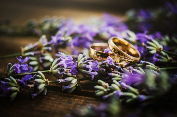 结婚戒指和新鲜薰衣草图片下载