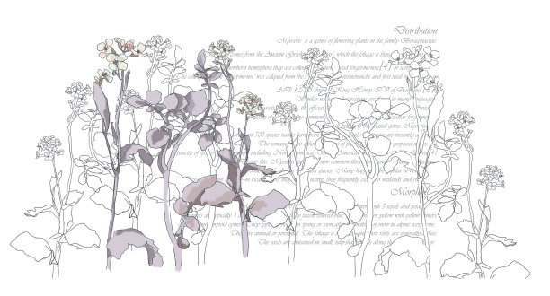 植物艺术。手绘连续线描抽象花在白色与文字背景图片下载