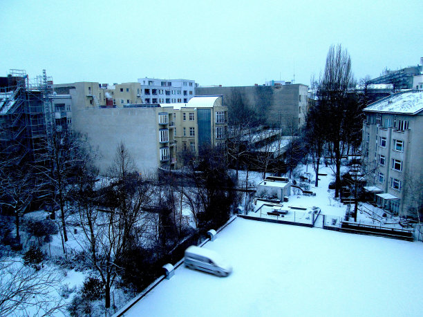 柏林冬季白雪庭院与光秃秃的树木图片下载