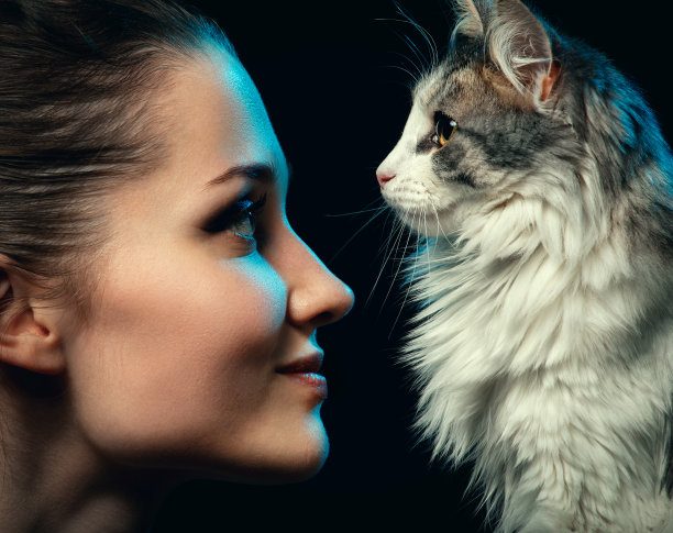 女人与猫图片下载