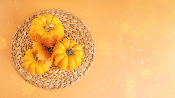 秋天的季节，秋天的收获，感恩节快乐。万圣节南瓜。不同南瓜品种。橙色背景。文本空间和复制空间。秋天的明信片。极简主义的风格。边界设计。素材图片