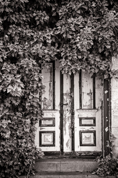 古老的秘密图片下载