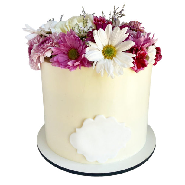 生日蛋糕。图片下载