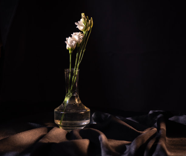 花瓶里的一束白色羊毛图片下载