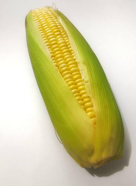 白色背景上的玉米图片下载