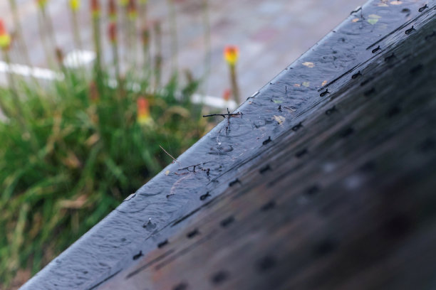 一幅屋顶排水沟在雨天溢出水的画像。雨水排不出去，因为排水沟被树叶、树枝和树枝堵塞了，需要清理图片下载