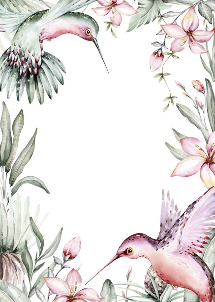 热带水彩鸟蜂鸟，猴子和美洲虎，异国情调的丛林植物棕榈芭蕉叶花，火烈鸟宝宝送礼婚礼请柬背景图片下载