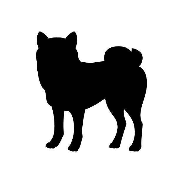 孤立的黑色剪影站立柴犬在白色背景。扁平卡通犬种。图片下载