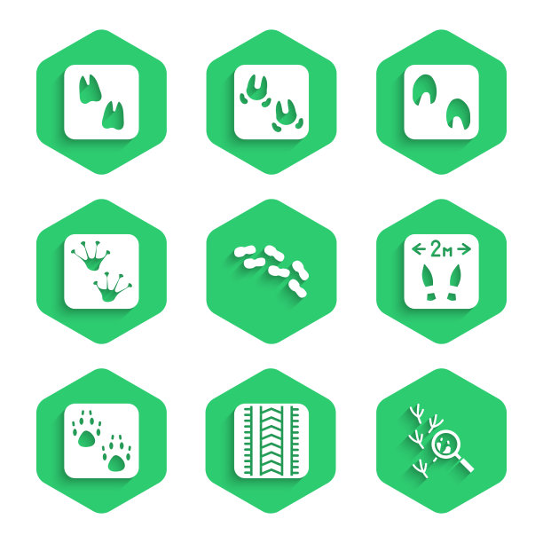 设人脚印鞋轮胎轨道鸟安全图片下载