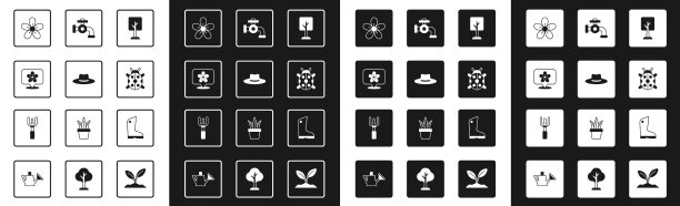 设森林园丁工帽位置用图片下载