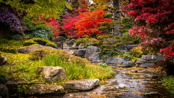 汉堡日本花园入口处的小溪正面景观，周围环绕着造型奇特的岩石和色彩缤纷的秋季景观，11月有橙色和黄色的树叶图片下载